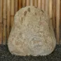 morepic-4